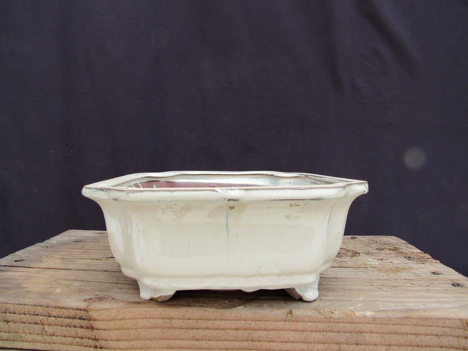 Beige Ceramic Bonsai Pot - Lotus Side