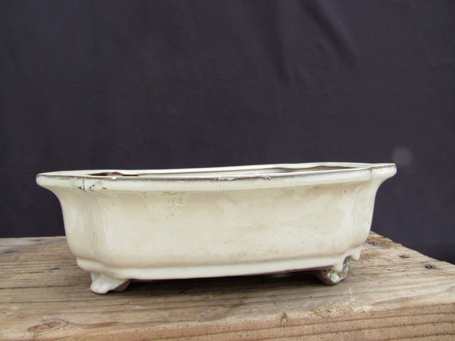 Beige Ceramic Bonsai Pot - Lotus