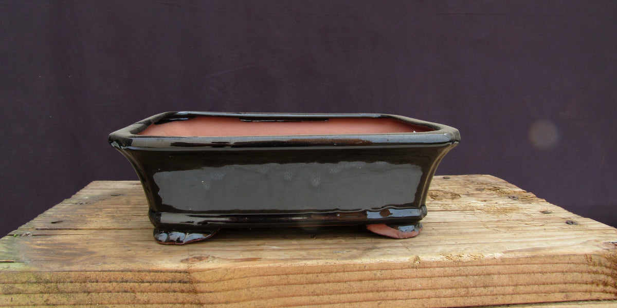 Hotsell 8” Glazed Ceramic Bonsai Pot Rectangle