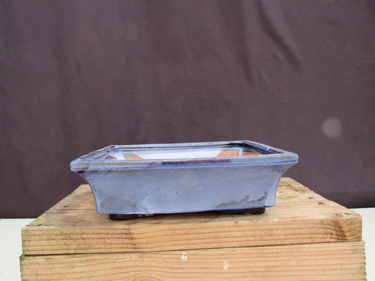 Bonsai ceramic pot 12