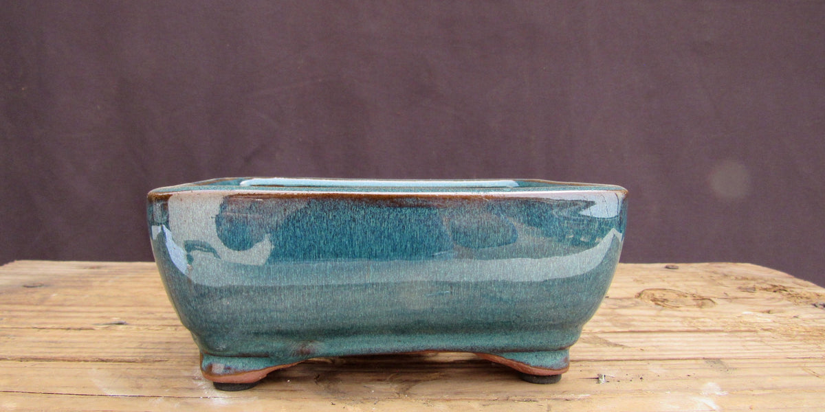 Bonsai ceramic 2024 pot 12