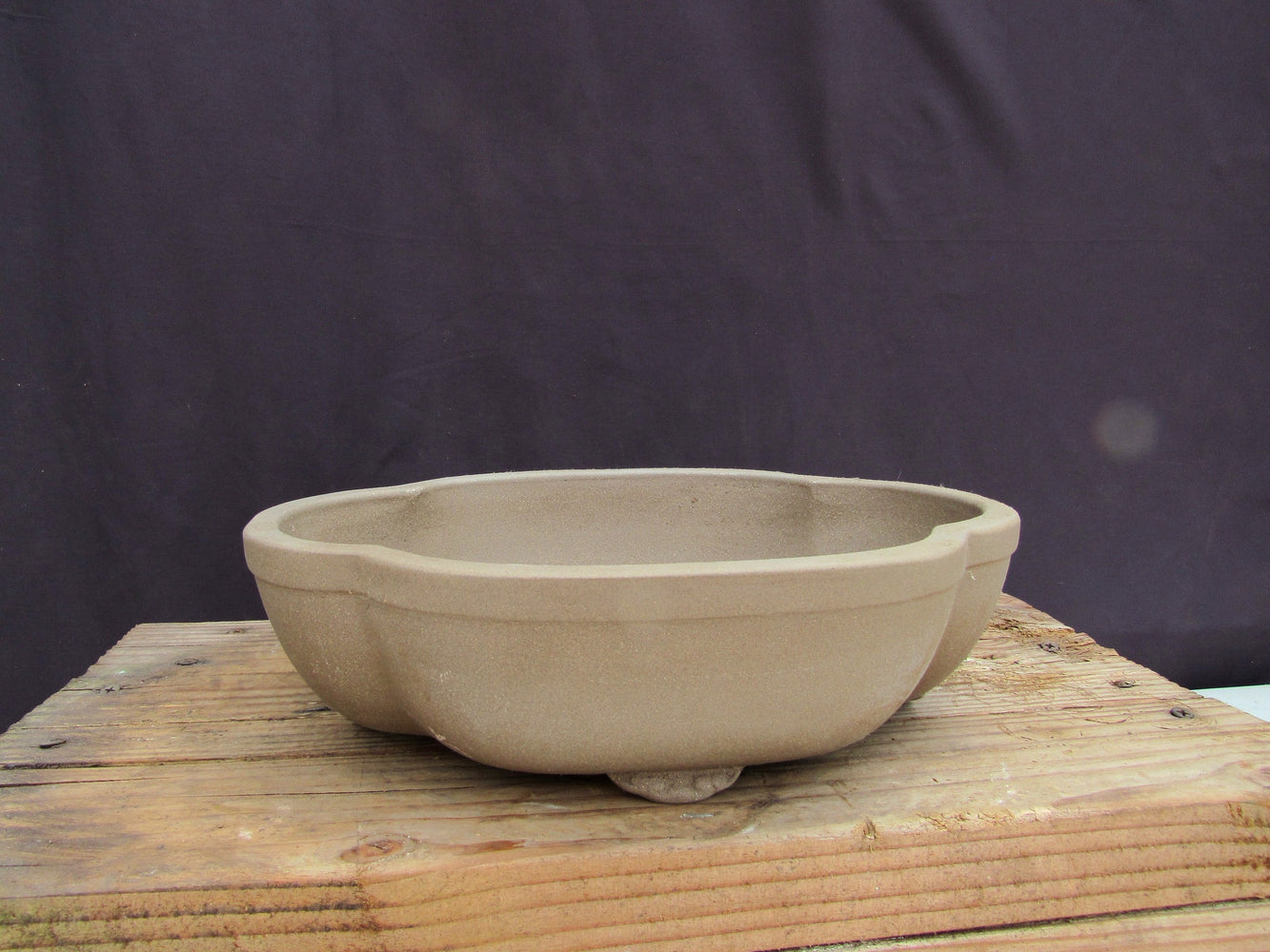 Unglazed Ceramic Professional Bonsai Pot - Lotus