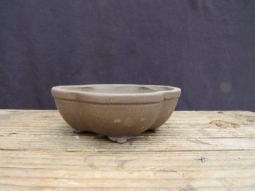 Unglazed Ceramic Professional Bonsai Pot - Lotus