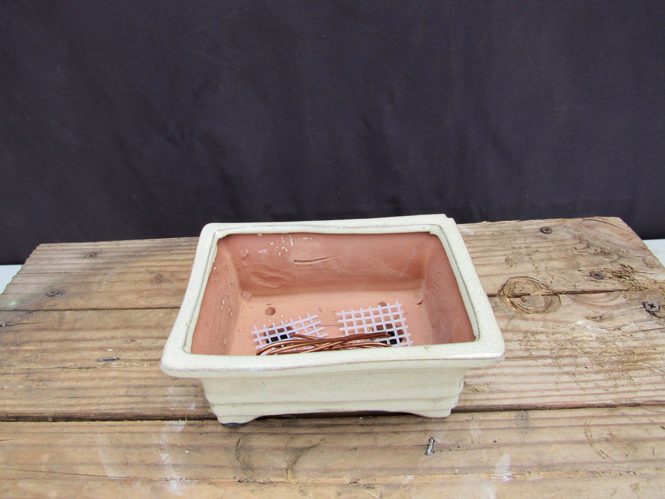 White Glazed Ceramic Professional Bonsai Pot - Rectangle - Pre Wired