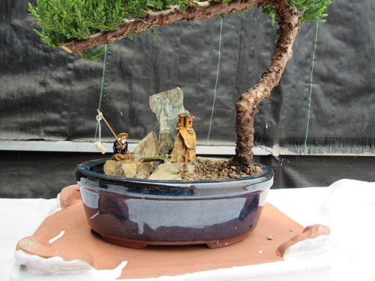 Juniper Bonsai 1 in Grey Stone Pot